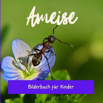 Paperback Ameise: Bilderbuch für Kinder [German] Book