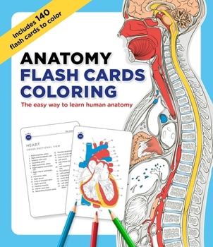 Anatomy Flash Cards Coloring