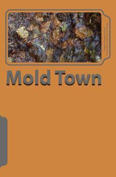 Paperback Mold Town Book