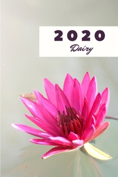 Paperback 2020 Dairy: Notebook for Daily Schedule and Activity Organize - Journal Notebook for 2019-2020 - Daily Agenda and Calendar for 202 Book