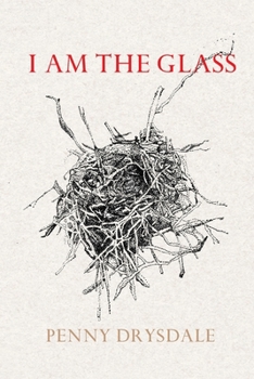 Paperback I am the glass Book