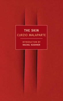 Paperback The Skin Book