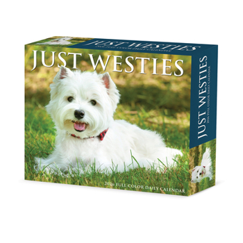 Home Westies 2026 Box Calendar Book