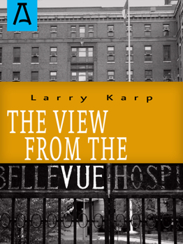 Paperback The View from the Vue Book