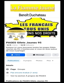 Paperback La Flamme Jaune [French] Book