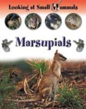 Hardcover Marsupials Book