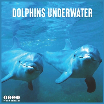 Paperback Dolphins Underwater 2021 Wall Calendar: Official Dolphins Calendar 2021, 18 Months Book