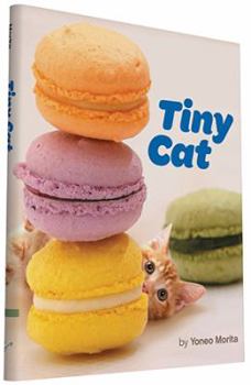 Hardcover Tiny Cat Book