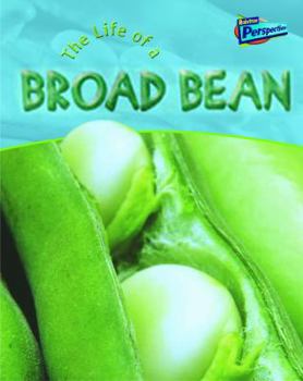 Paperback Life of a Broad Bean Book