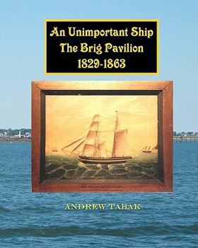 Paperback An Unimportant Ship, The Brig Pavilion, 1829-1863 Book