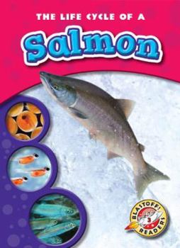 The Life Cycle of a Salmon - Book  of the Life Cycles