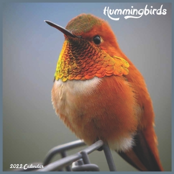 Hummingbirds Calendar 2022: Official Hummingbirds Birds 2022 Calendar, 16 Month