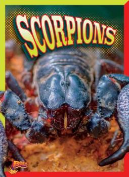 Paperback Scorpions Book