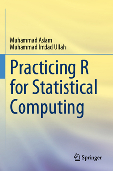 Paperback Practicing R for Statistical Computing Book