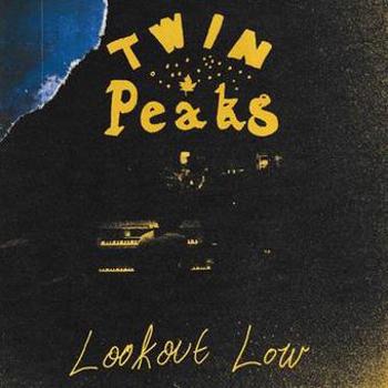 Vinyl Lookout Low Book