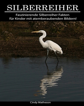 Silberreiher: Faszinierende Silberreiher Fakten f�r Kinder mit atemberaubenden Bildern!