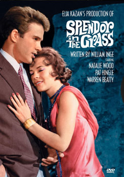 DVD Splendor In The Grass Book