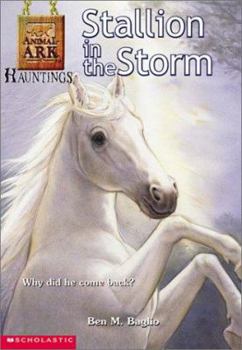 Stallion in the Storm - Book #1 of the Animal Ark Hauntings