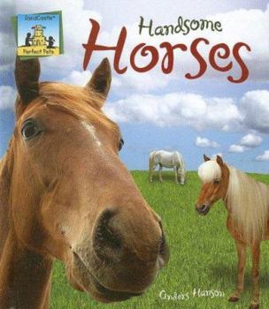 Handsome Horses - Book  of the Perfect Pets