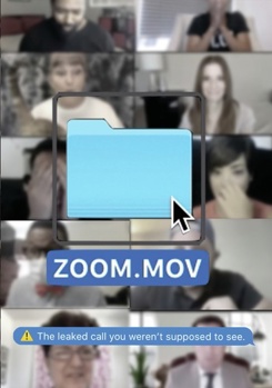 DVD Zoom.mov Book