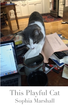 Paperback This Playful Cat Book