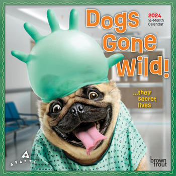 Calendar Avanti Dogs Gone Wild 2024 Mini 7x7 Book