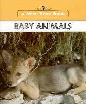 Library Binding Baby Animals Book