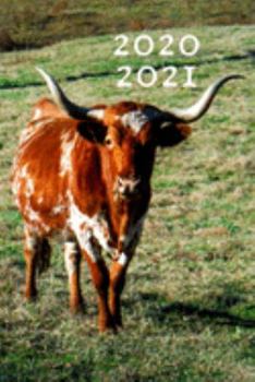 Paperback Texas Longhorn Cattle Steer Cow Lover 25 Month Weekly Planner Dated Calendar for Women & Men: 2 years plus December To-Do Lists, Tasks, Notes or Appoi Book