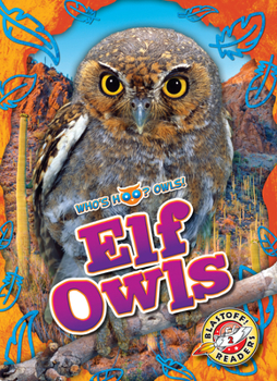 Library Binding Elf Owls Book