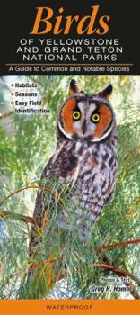 Pamphlet Birds of Yellowstone & Grand Teton National Parks: A Guide to Common & Notable Species Book