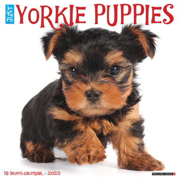 Calendar Just Yorkie Puppies 2022 Wall Calendar (Dog Breed) Book