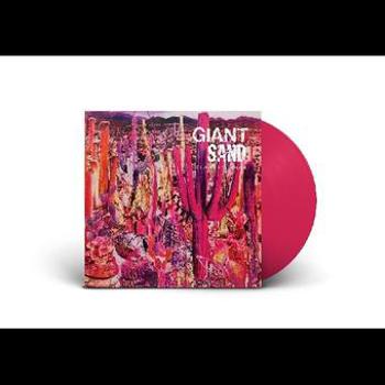 Vinyl Recounting The Ballads Of Thin Line Men Book