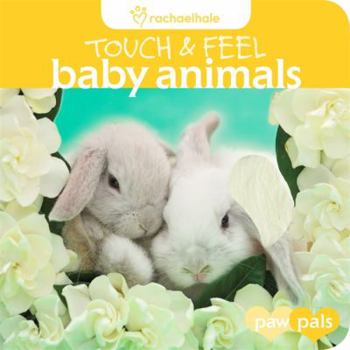 Board book Touch & Feel: Baby Animals Book