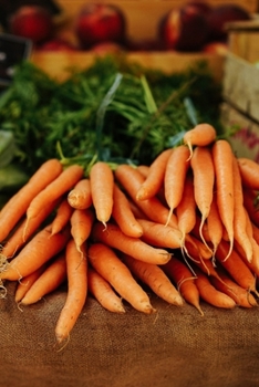 Paperback Recipe Journal: Recipe Journal - 6x9 - 120 Lined pages - Recipe Recording Notebook - Matte Cover Book