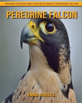 Paperback Peregrine Falcon: Amazing Photos and Fun Facts about Peregrine Falcon Book