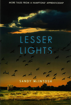 Paperback Lesser Lights: More Tales from a Hamptons' Apprenticeship Book