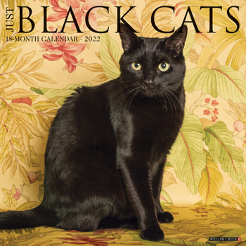 Calendar Just Black Cats 2022 Wall Calendar Book
