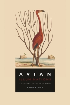 Hardcover Avian Illuminations: A Cultural History of Birds Book