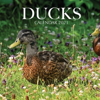 Paperback Ducks Calendar 2021: 16 Month Calendar Book
