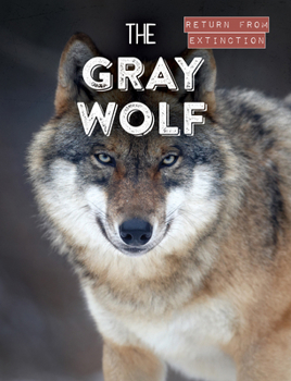 Paperback The Gray Wolf Book