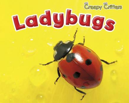 Paperback Ladybugs Book