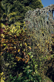 Hardcover Nicolas Faure: The Order of Things Book