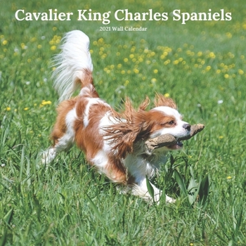 Paperback Cavalier King Charles Spaniels 2021 Wall Calendar: Dog Breed Calendar 12 Month Book