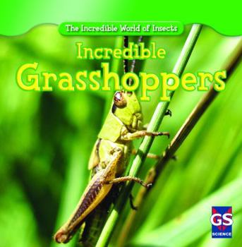 Paperback Incredible Grasshoppers Book