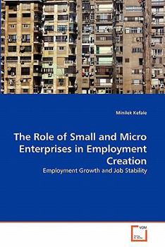 Paperback The Role of Small and Micro Enterprises in Employment Creation Book