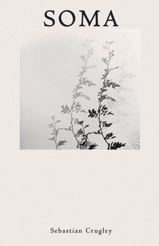 Paperback Soma [Spanish] Book