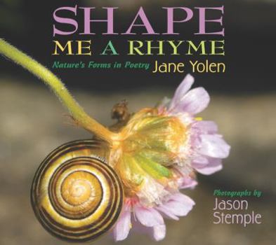 Hardcover Shape Me a Rhyme Book