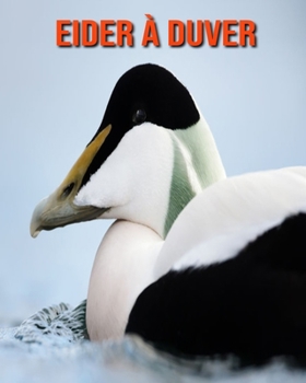 Eider à Duver: Informations Etonnantes & Images (French Edition)