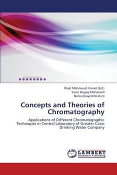 Paperback Concepts and Theories of Chromatography Book