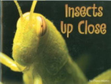 Paperback Insects Up Close? Grades K-1 (Steck-vaughn Shutterbug Books Leveled Reader, Special Format: Science) Book